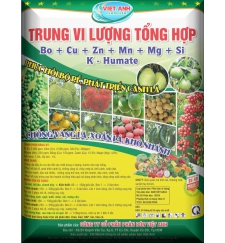 TRUNG VI LƯỢNG TỔNG HỢP