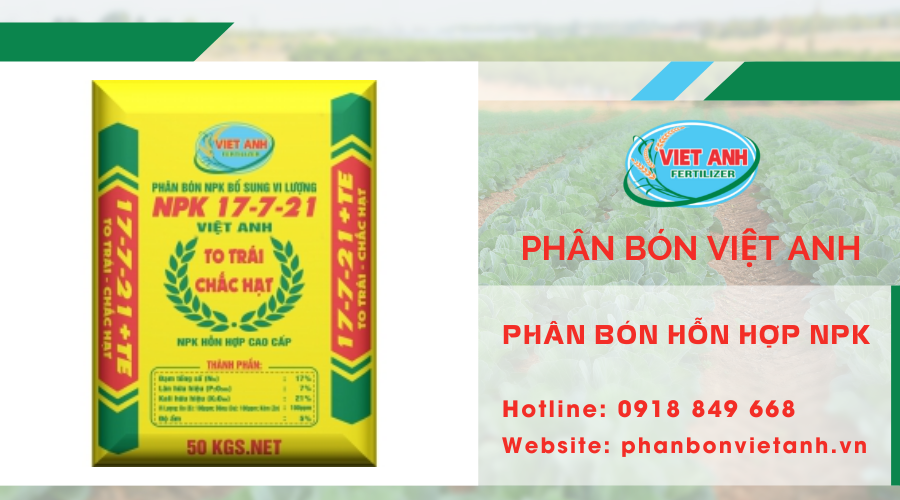 Công dụng của phân NPK và kỹ thuật bón phân mang lại hiệu quả cao