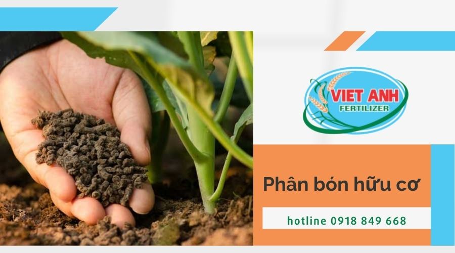 Phân bón hữu cơ và ưu điểm của phân bón hữu cơ