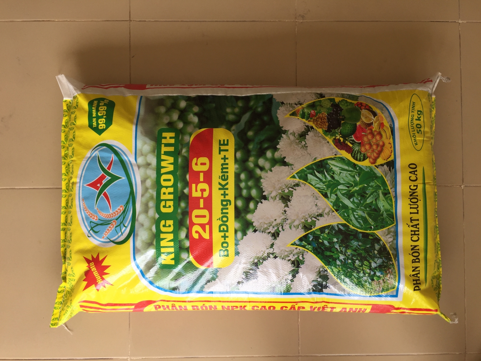 THỊ TRƯỜNG XUẤT KHẨU